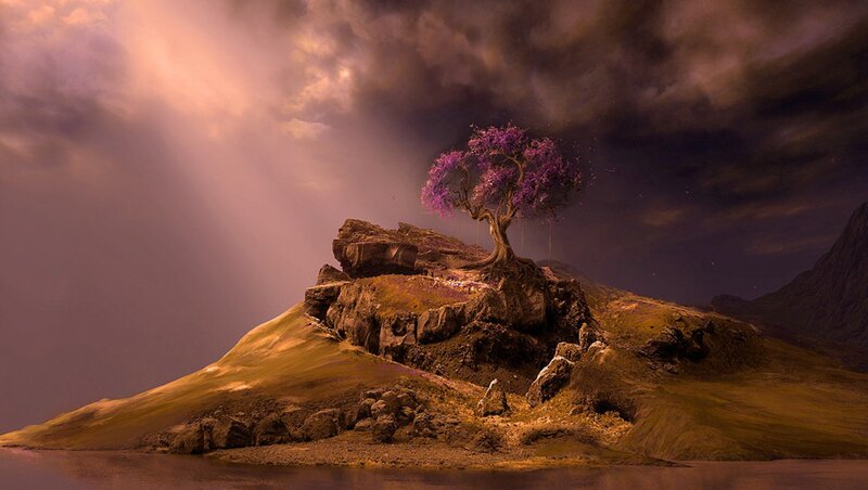 Solitary Purple Tree
