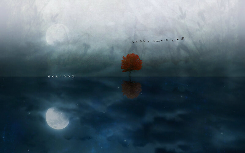 Solitary Red Tree — Blue
