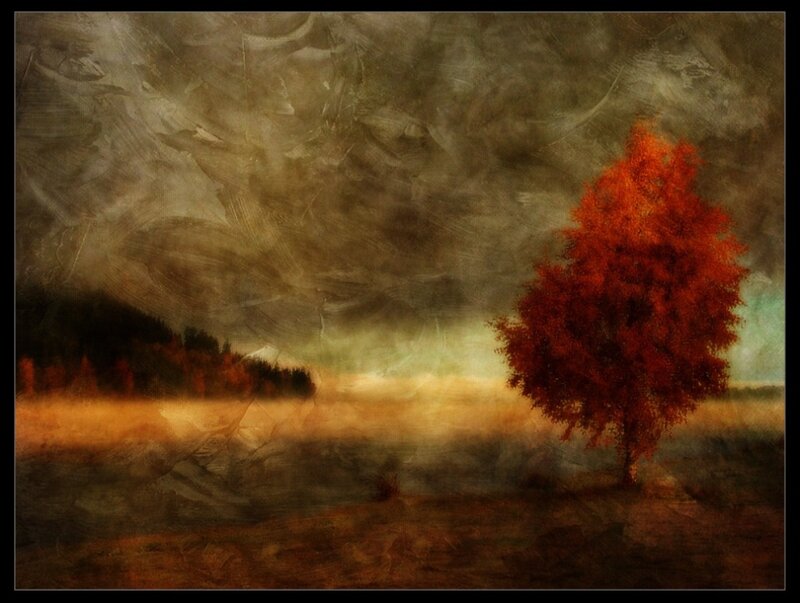Solitary Red Tree — Dramatic, Autumn