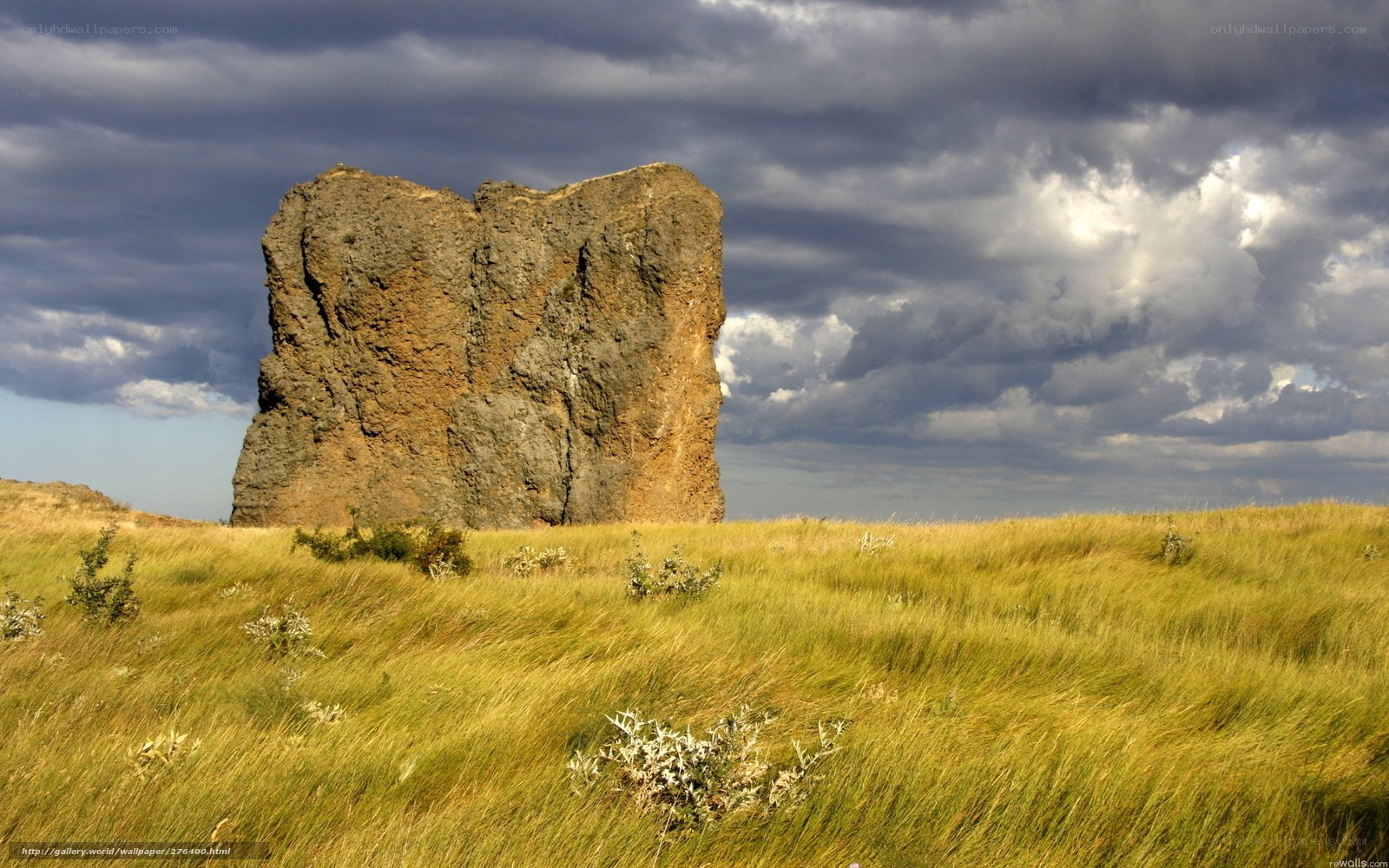 Solitary rock formation in grassland
