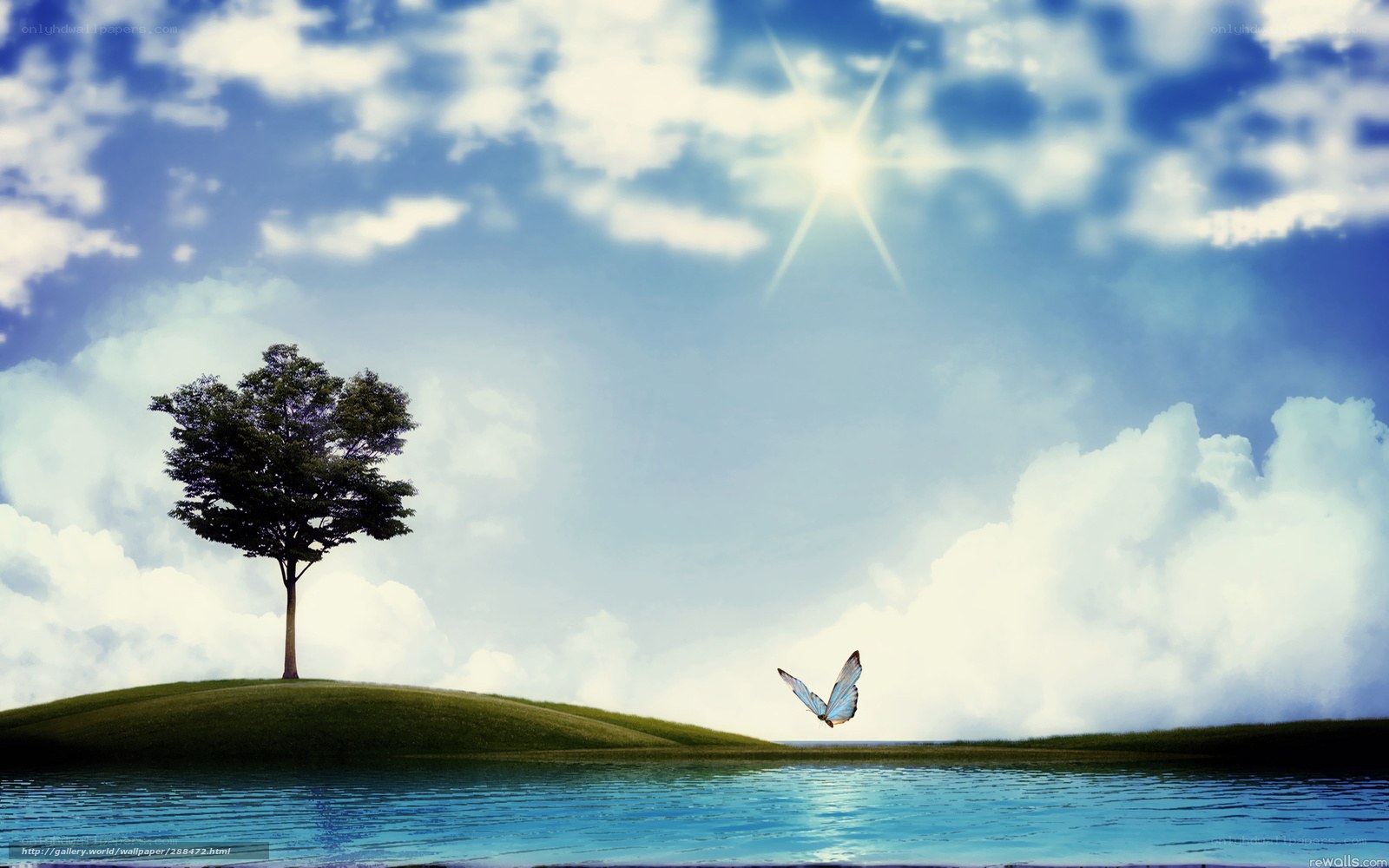 Solitary tree and butterfly