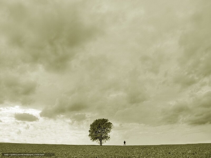 Solitary tree and figure