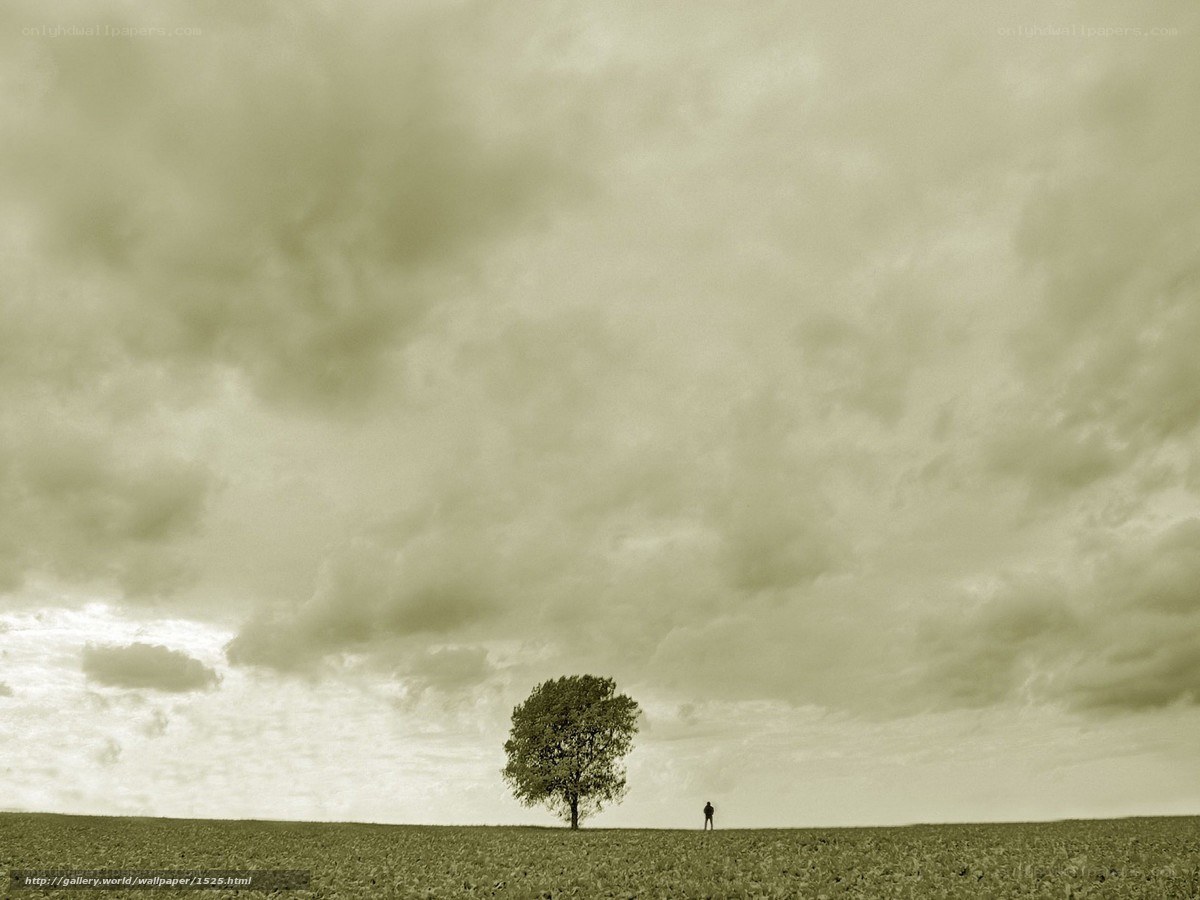 Solitary tree and figure