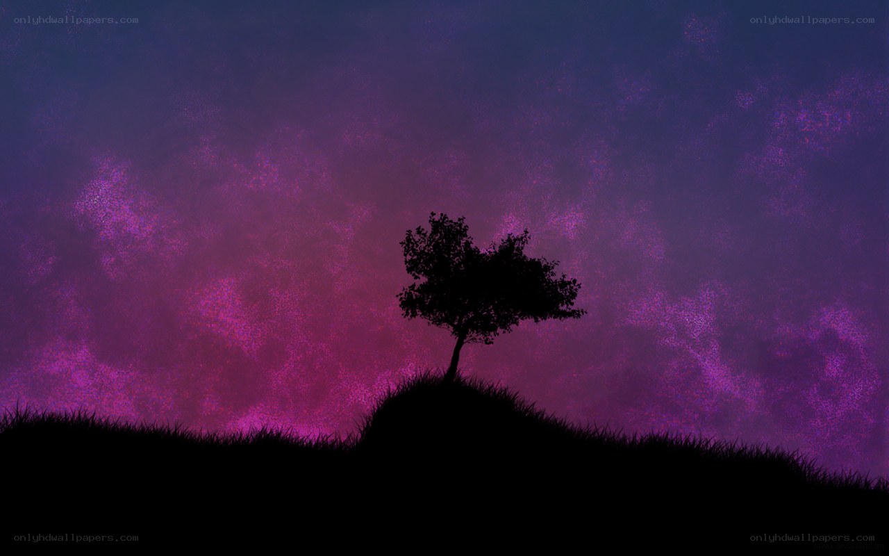 solitary tree at dusk