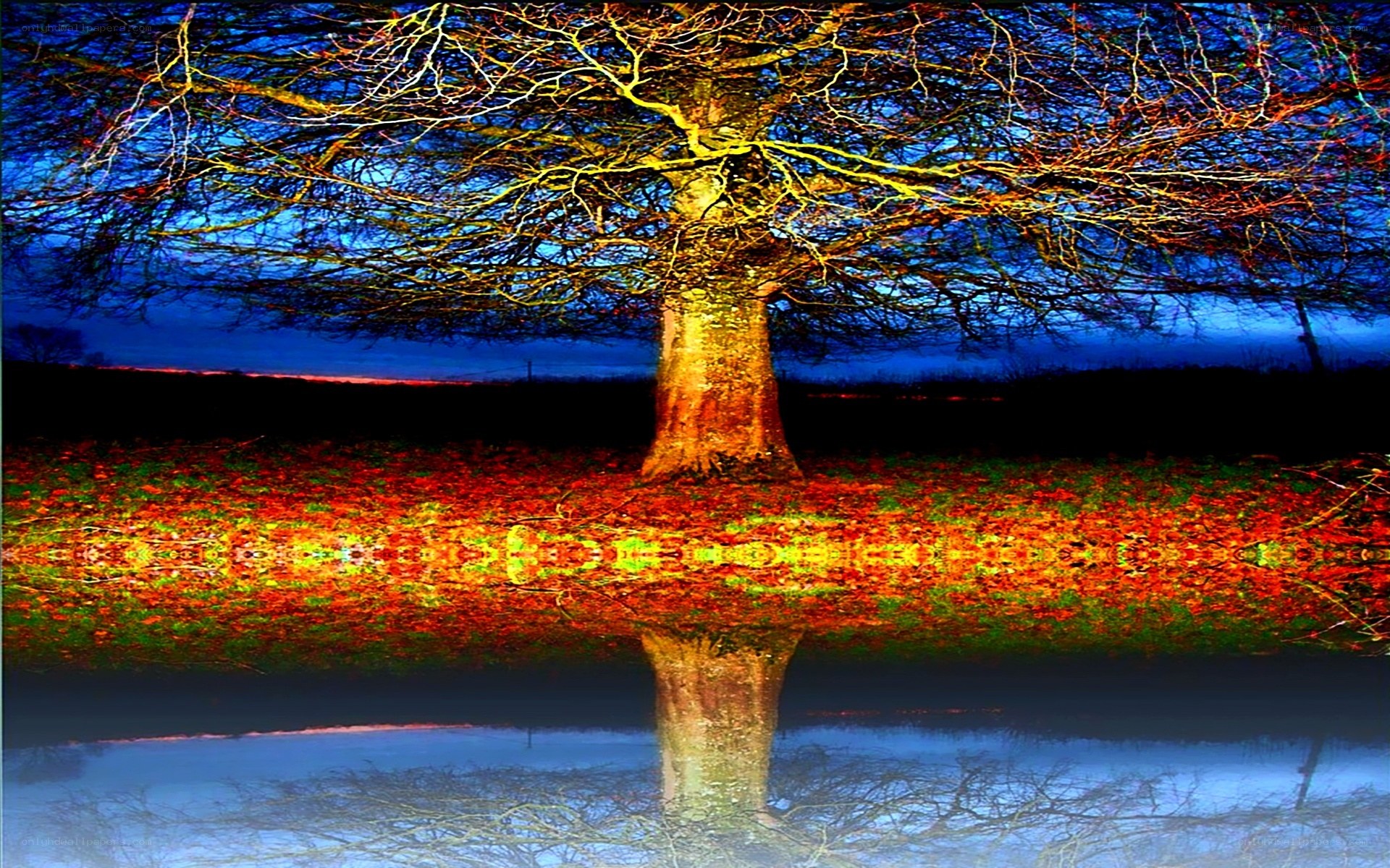 Solitary tree at dusk