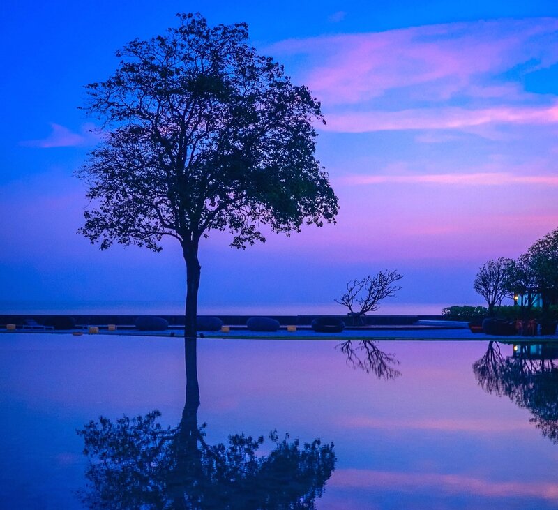 Solitary Tree at Dusk — Blue