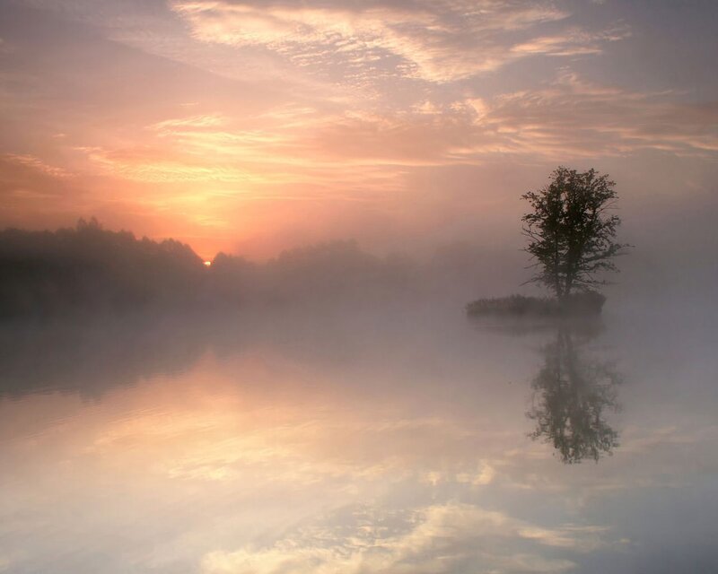 Solitary tree at sunrise