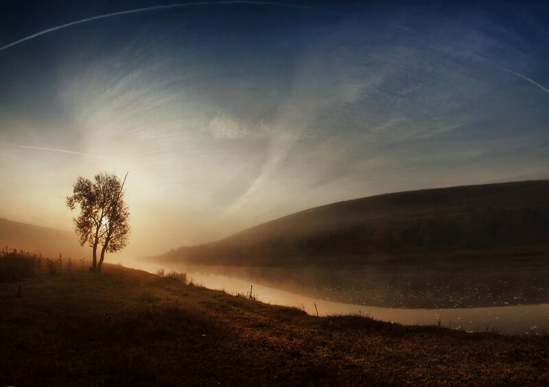 Solitary Tree at Sunrise — Blue