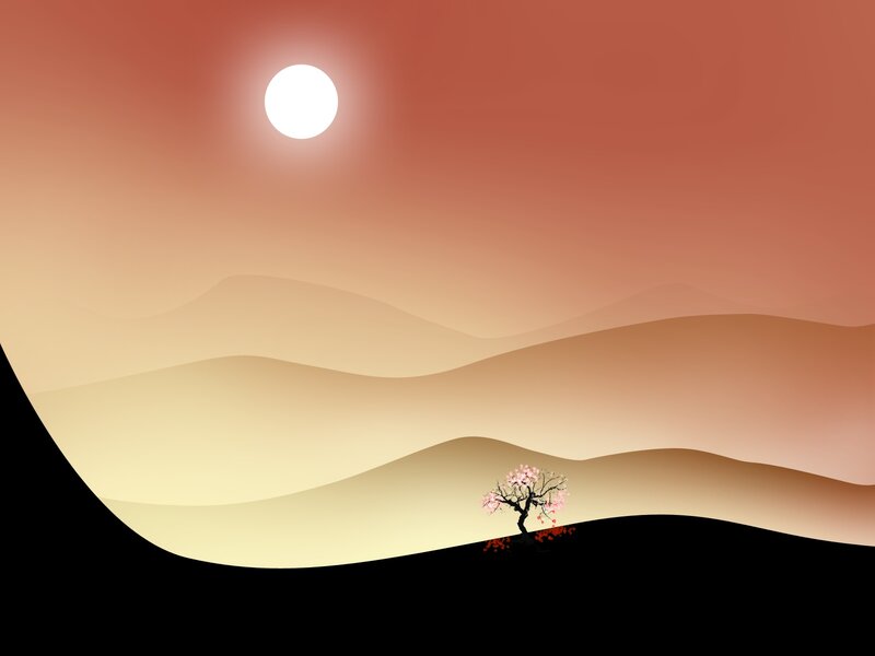 solitary tree at sunset