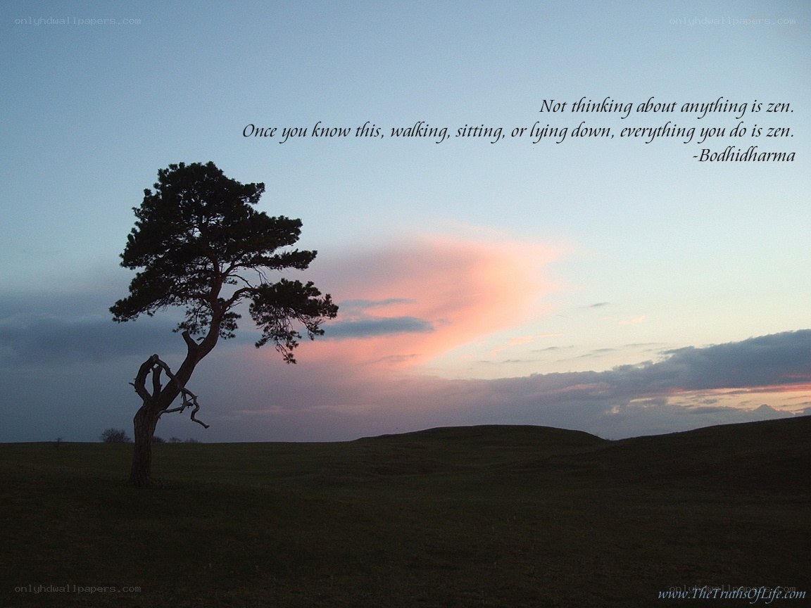 solitary tree at sunset