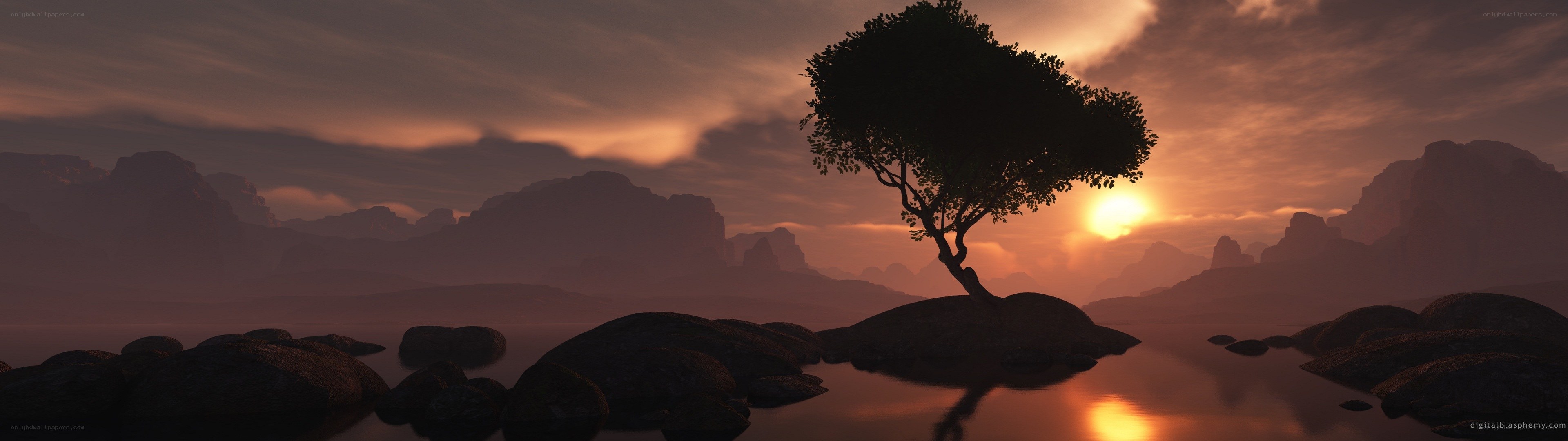 solitary tree at sunset