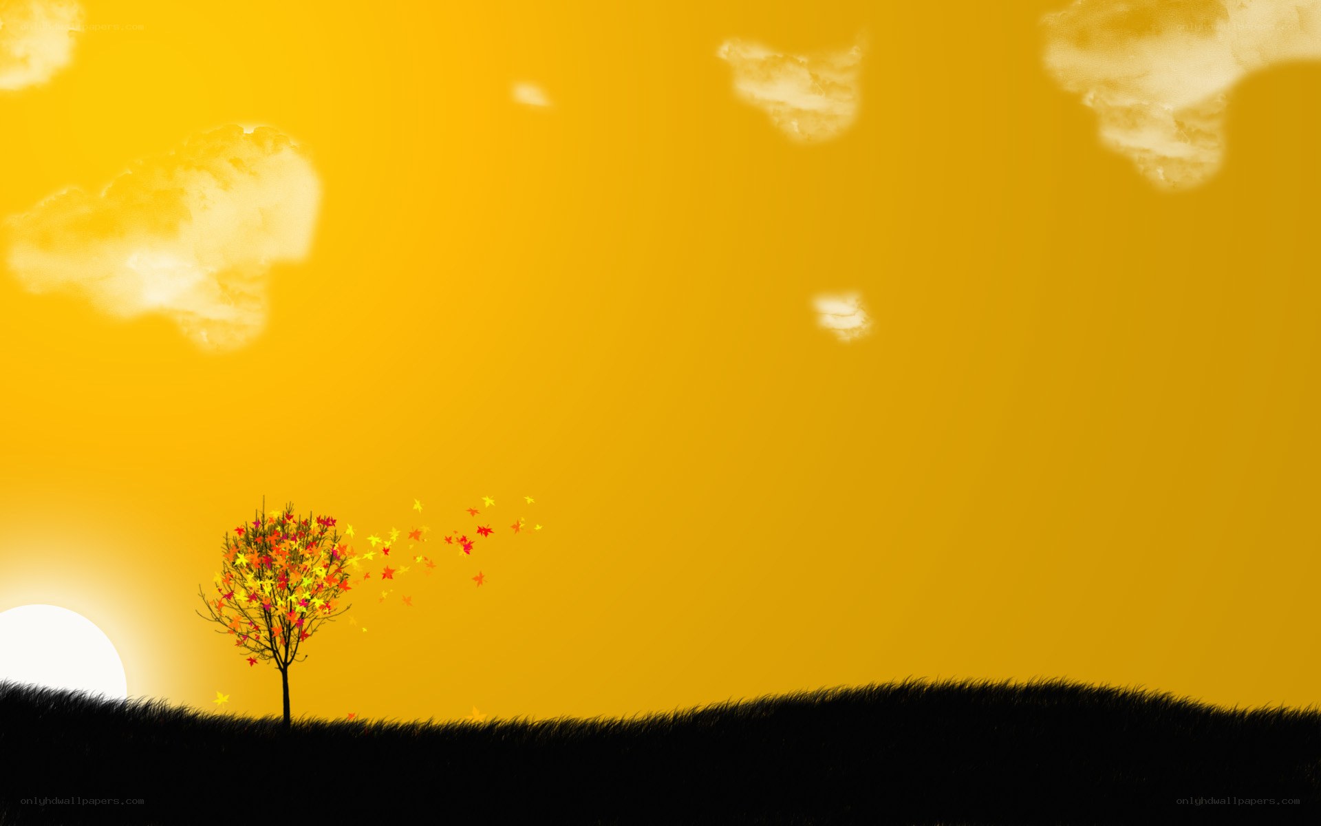 solitary tree at sunset