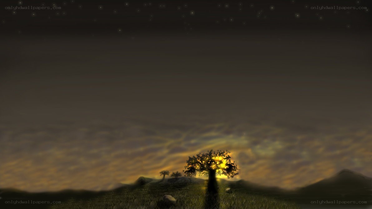 Solitary tree at sunset
