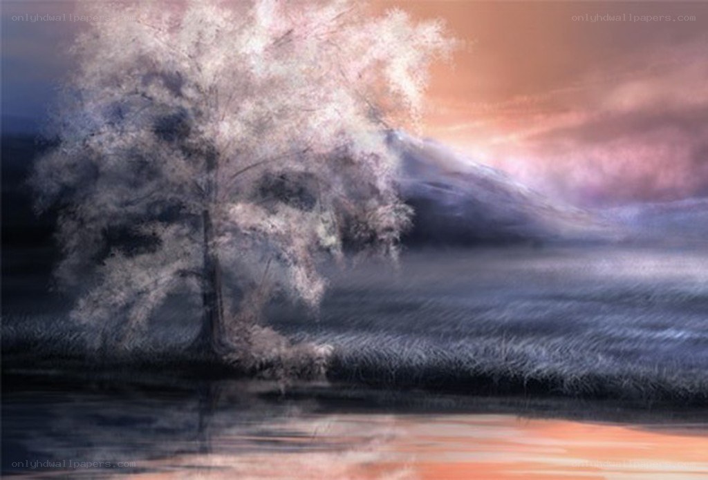 Solitary tree at sunset
