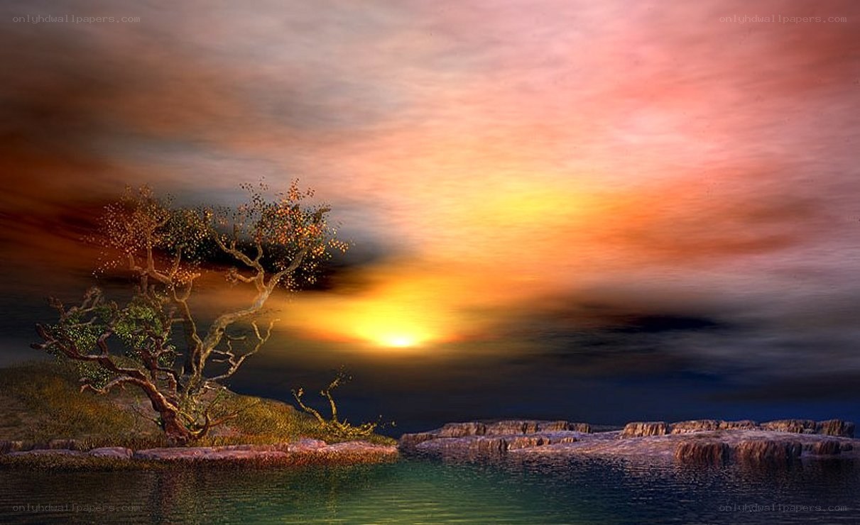 Solitary tree at sunset
