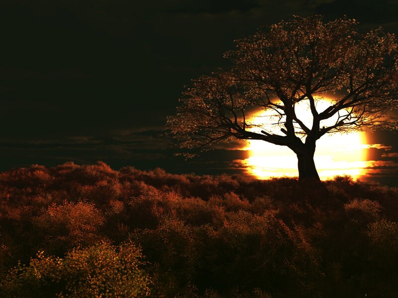 Solitary Tree at Sunset — Orange, Dramatic, Digital Art, Sun, Sky