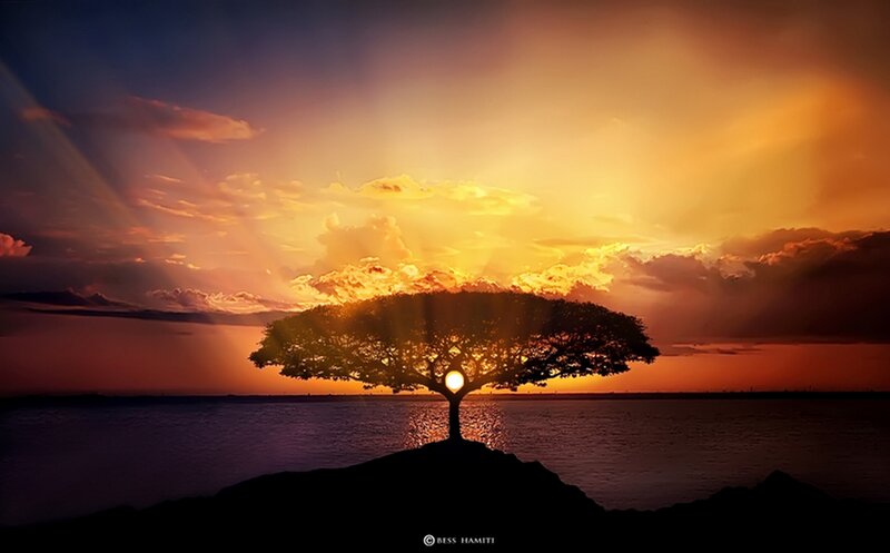 Solitary Tree at Sunset — Orange, Dramatic, Digital Art, Sun