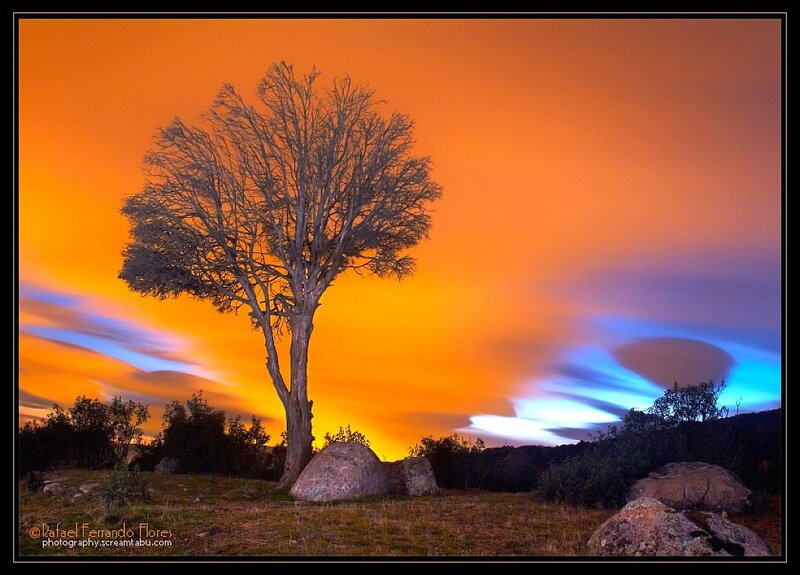 Solitary Tree at Sunset — Orange, Dramatic, Photograph, Rocks, Clouds