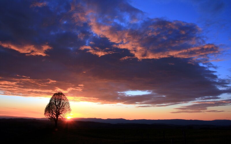 Solitary Tree at Sunset — Orange, Dramatic, Photograph, Sun, Clouds