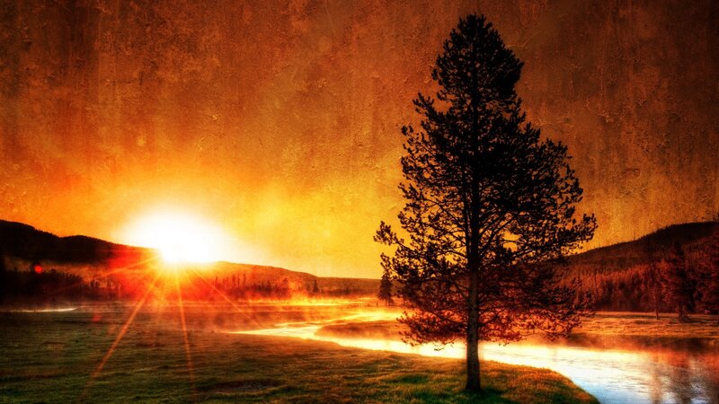 Solitary Tree at Sunset — Orange, Dramatic, Photograph, Sun, River