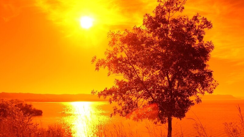 Solitary Tree at Sunset — Orange, Dramatic, Photograph, Sun