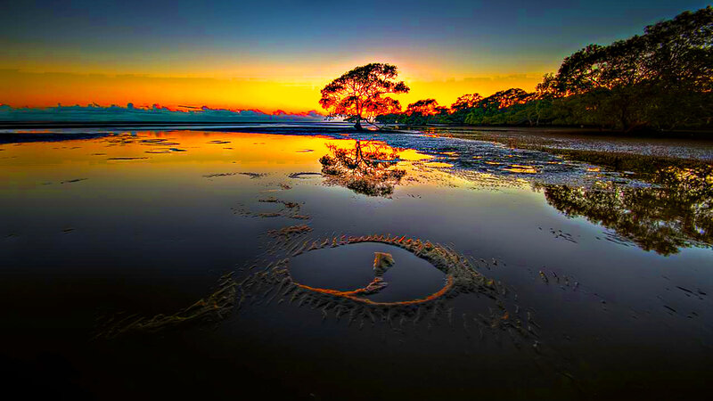 Solitary Tree at Sunset — Orange, Serene, Photograph, Reflection