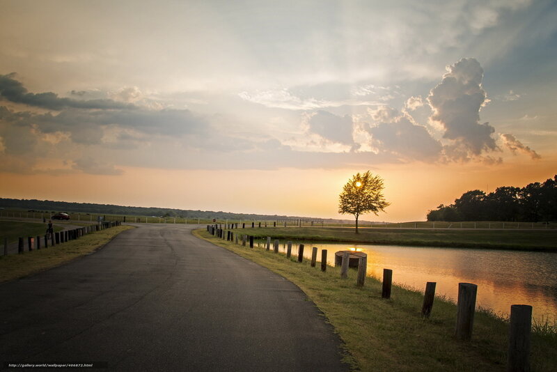 Solitary Tree at Sunset — Orange, Serene, Photograph, Road, Pond, Clouds