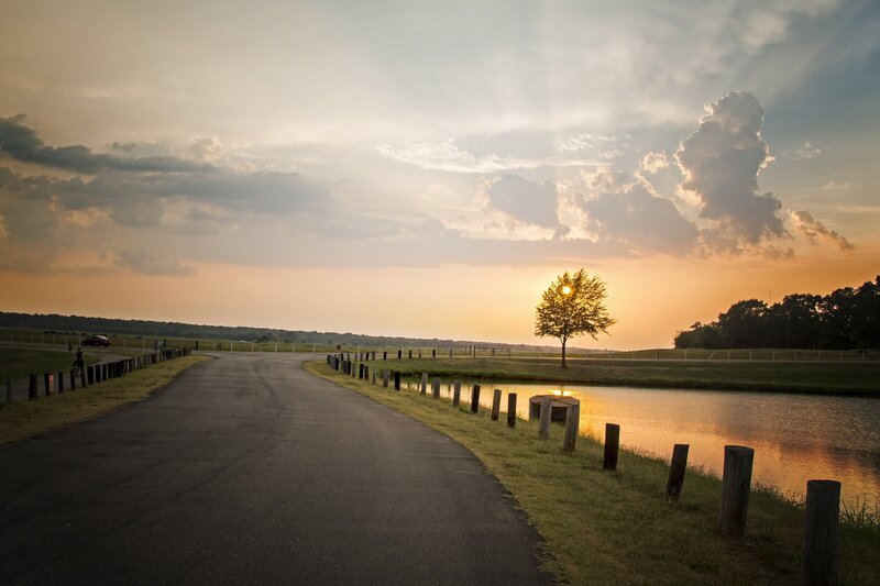 Solitary Tree at Sunset — Orange, Serene, Photograph, Road, Pond, Clouds, Yellow