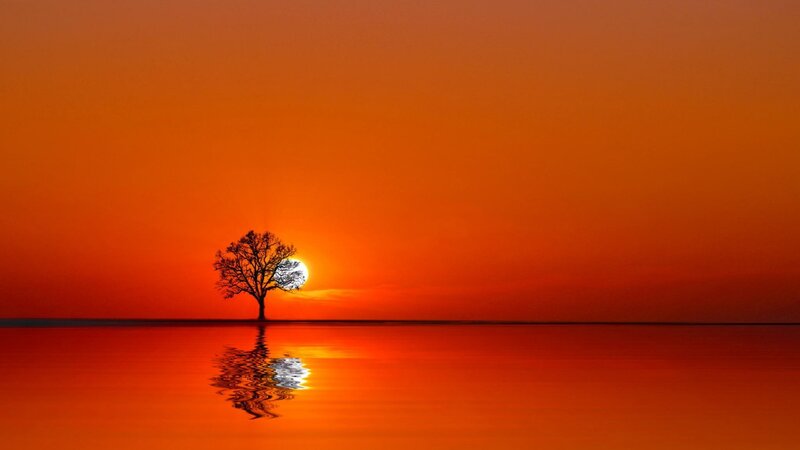 Solitary Tree at Sunset — Orange, Serene, Photograph, Sun, Water
