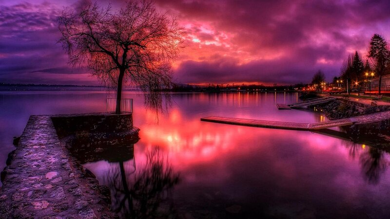 Solitary Tree at Sunset — Purple, Dramatic, Photograph, Dock, Lake