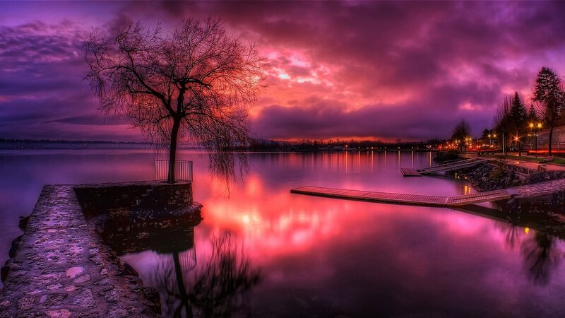 Solitary Tree at Sunset — Purple, Dramatic, Photograph, Dock