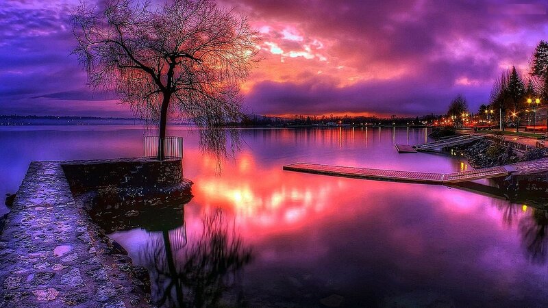 Solitary Tree at Sunset — Purple, Dramatic, Photograph, Dock, Water