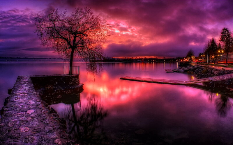 Solitary Tree at Sunset — Purple, Dramatic, Photograph