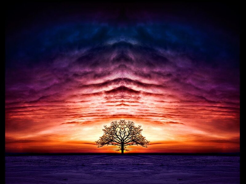 Solitary Tree at Sunset — Purple