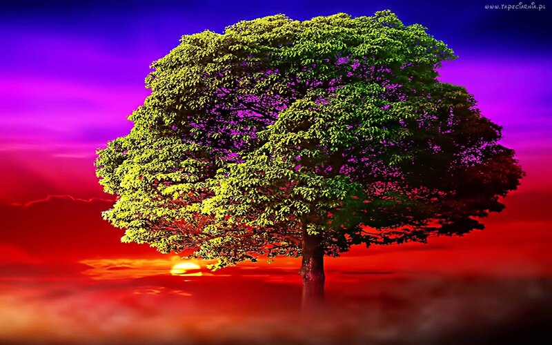 Solitary Tree at Sunset — Red, Dramatic, Digital Art