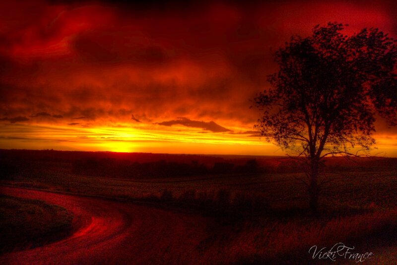 Solitary Tree at Sunset — Red, Dramatic