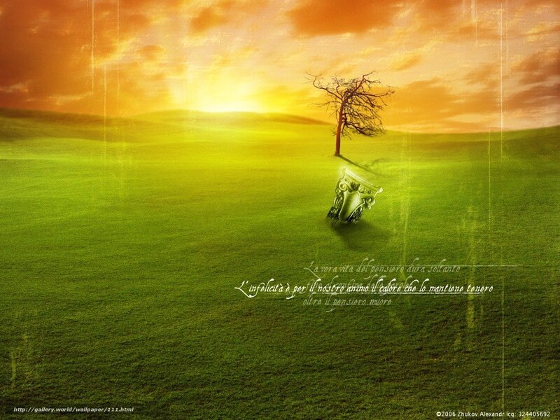 Solitary tree at sunset