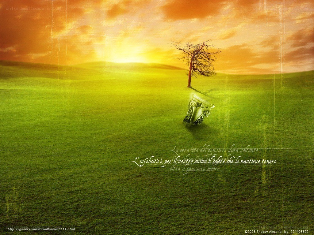 Solitary tree at sunset
