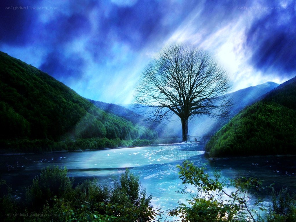 Solitary tree by a river