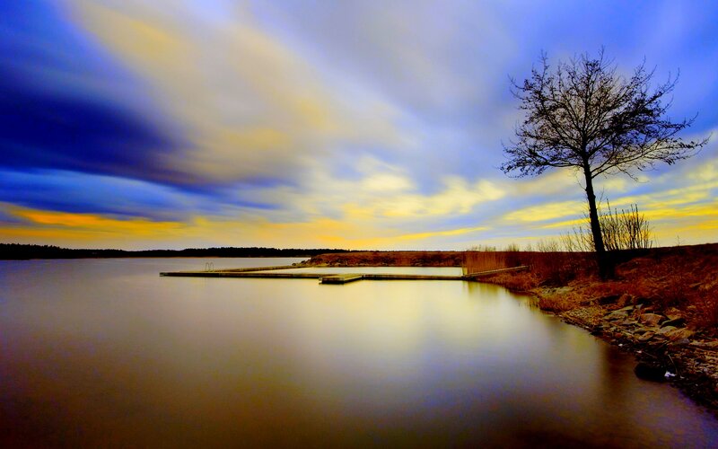 Solitary Tree by Lake — Blue, Dramatic