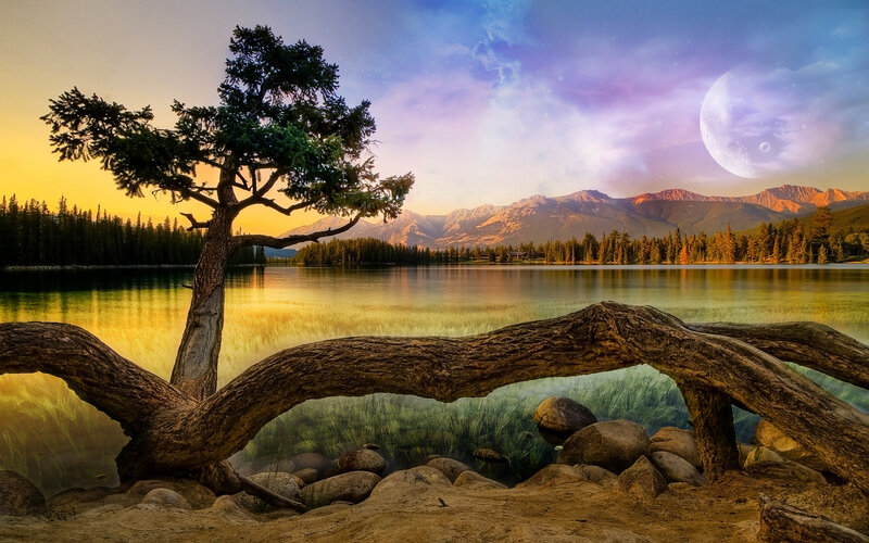 Solitary Tree by Lake — Blue, Serene, Sunset, Digital Art