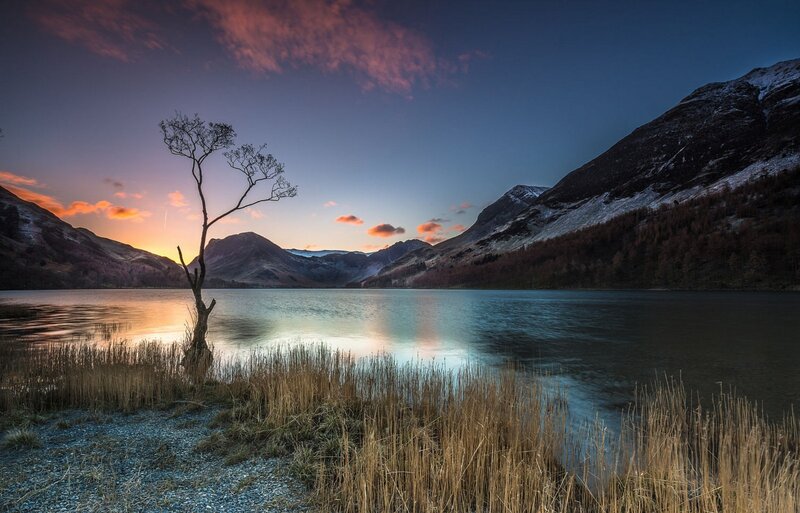 Solitary Tree by Lake — Blue, Serene, Sunset, Photograph, Mountains, Reeds