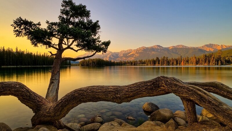 Solitary Tree by Lake — Blue, Serene, Sunset, Photograph, Mountains, Rocks