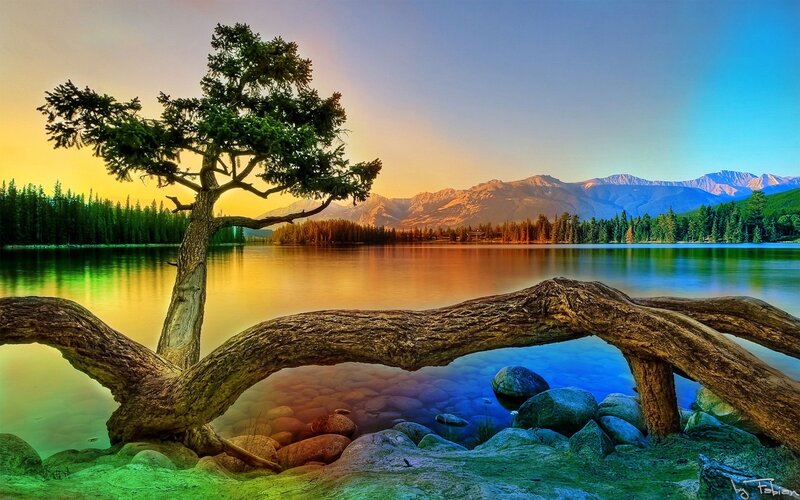 Solitary Tree by Lake — Blue, Serene, Sunset
