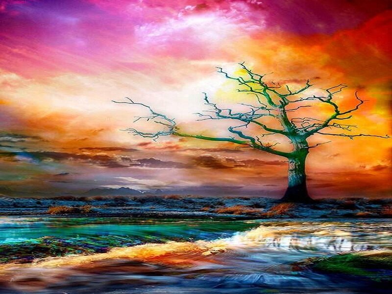 Solitary Tree by River — Purple