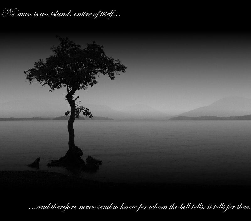 solitary tree by the lake