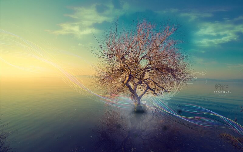 Solitary tree by the water
