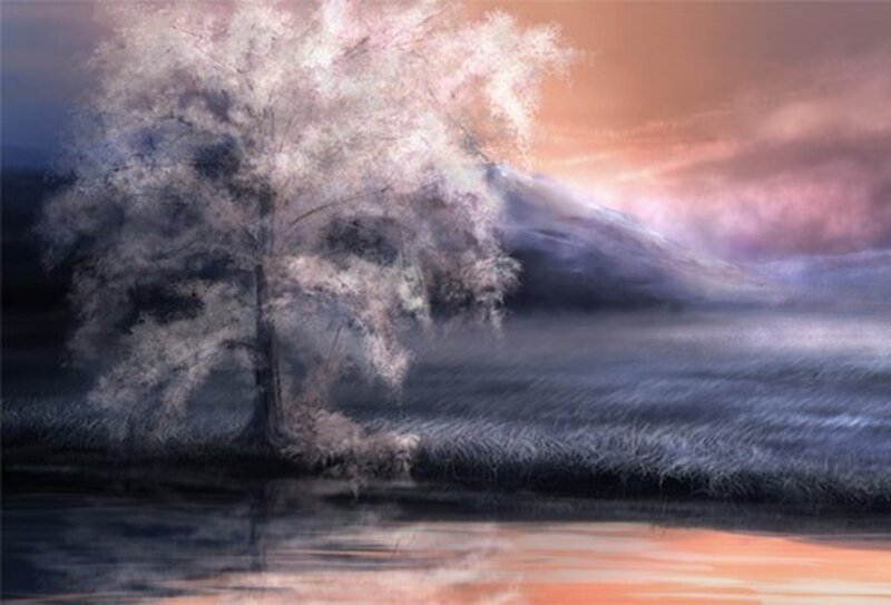 Solitary Tree by Water — Orange