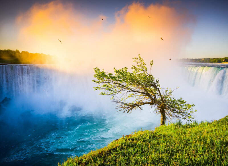 Solitary Tree by Waterfall