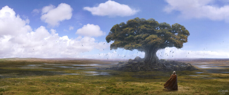 Solitary tree in a vast field